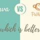 Canva vs PicMonkey